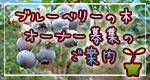 ブルーベリーの木オーナー募集のお知らせ