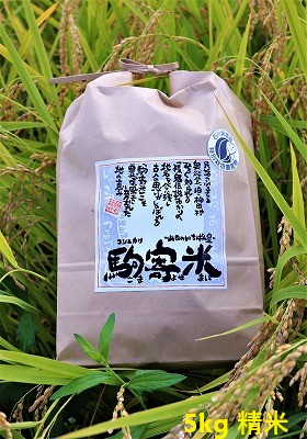 画像1: 山田のいちばん星  特別栽培米 駒寄米 精米5ｋｇ（送料込） (1)