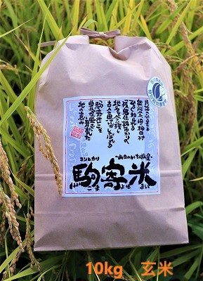 画像1: 2023年度・新米！！山田のいちばん星  特別栽培米 駒寄米 玄米10ｋｇ（送料込） (1)